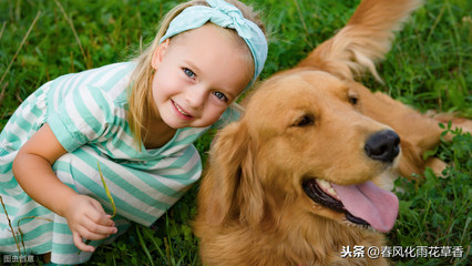 形容狗忠诚的句子