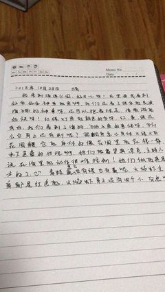 买书日记300字