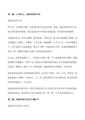 我喜欢牵牛花作文