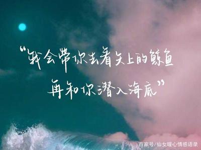 5月20日句子大全