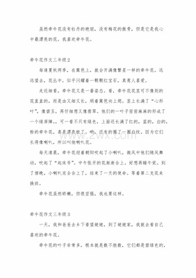 我喜欢牵牛花作文