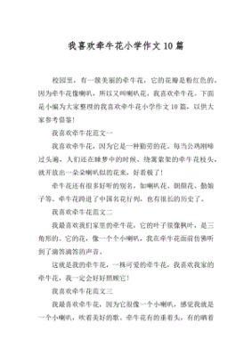 我喜欢牵牛花作文