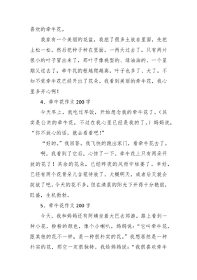我喜欢牵牛花作文