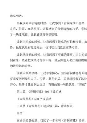 青铜葵花冰项链读后感