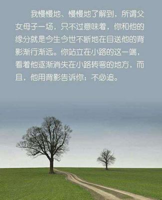舍不得放手的句子