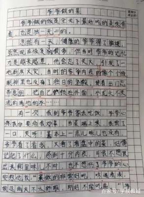 这件事我不会忘记作文