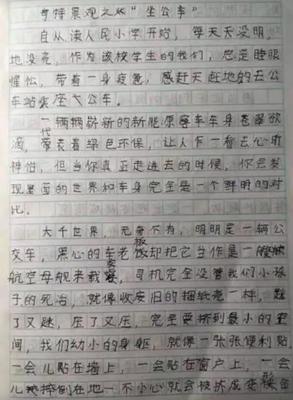 假如我是什么作文400字