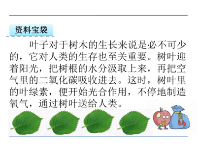 最后一片树叶读后感