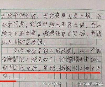 这件事我不会忘记作文