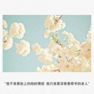 舍不得放手的句子