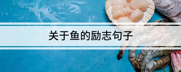 关于鱼的句子