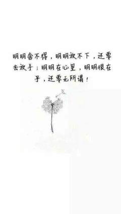 舍不得放手的句子