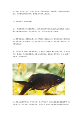 关于鱼的句子