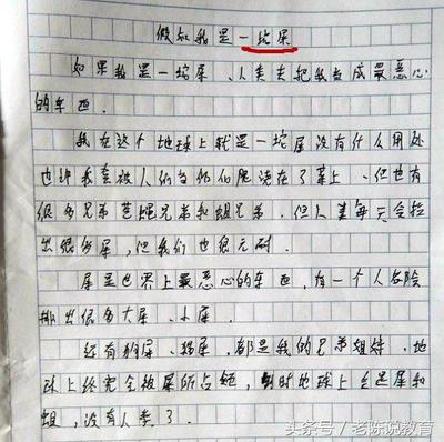假如我是什么作文400字