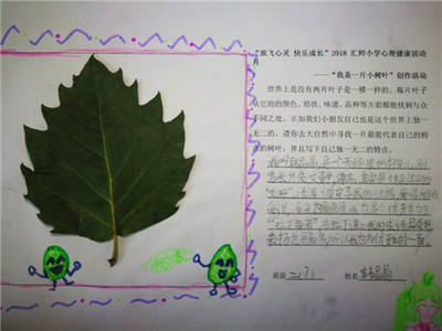 最后一片树叶读后感