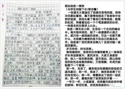 假如我是什么作文400字