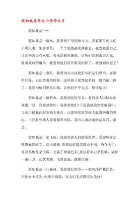 假如我是什么作文400字