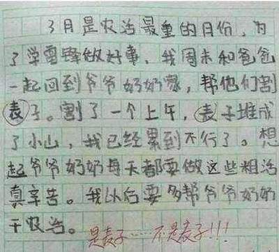 假如我是什么作文400字
