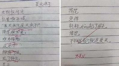 诗歌小学生写的