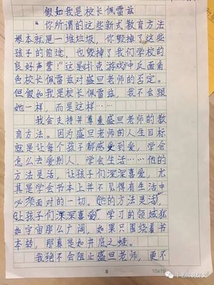 假如我是什么作文400字
