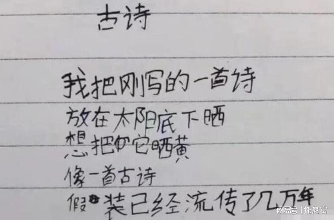 诗歌小学生写的