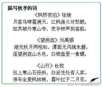 枫桥夜泊作文