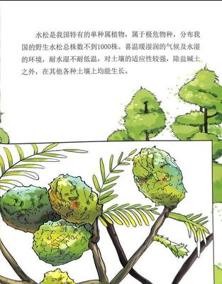 关于植物的绘本故事