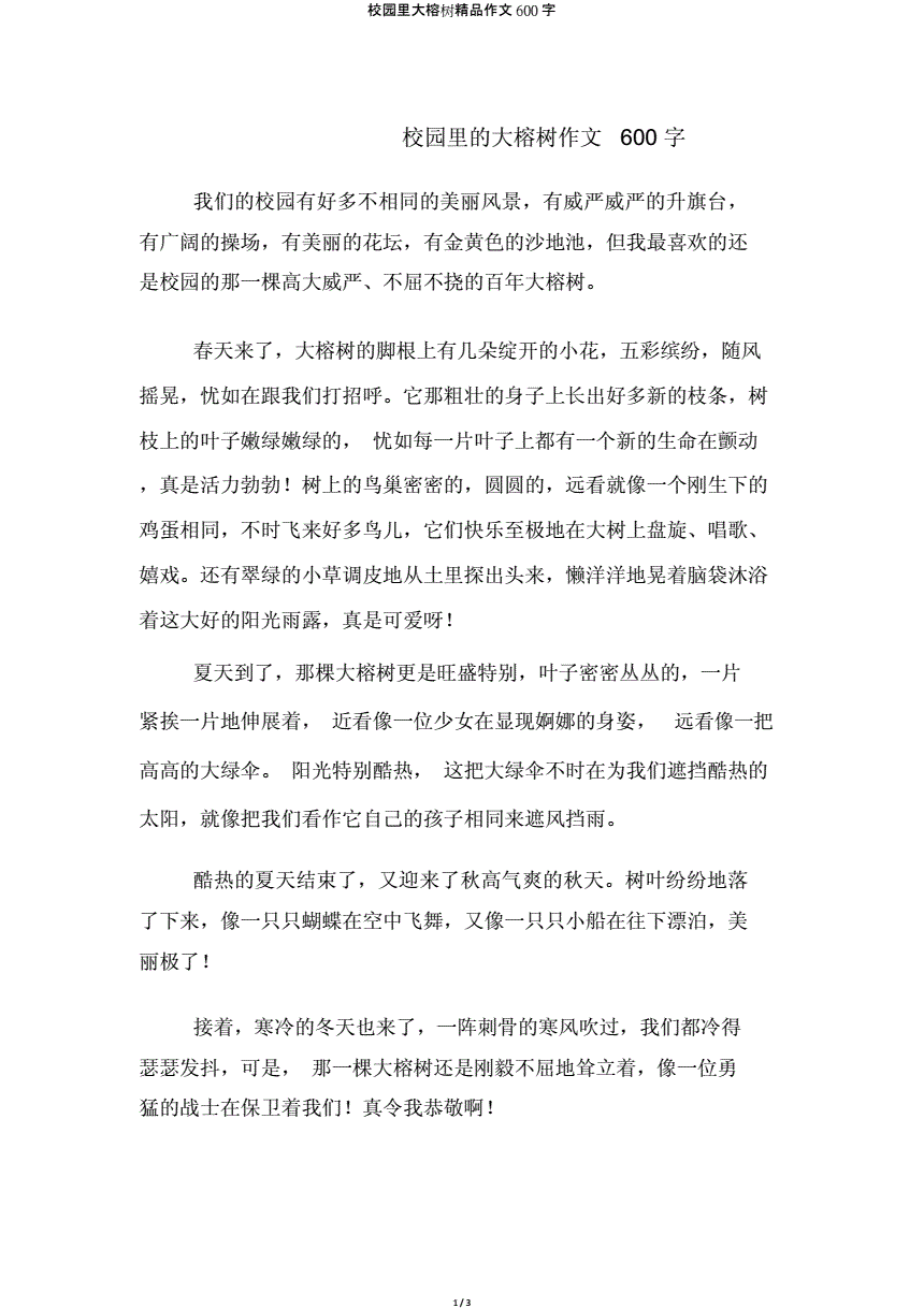 大榕树作文