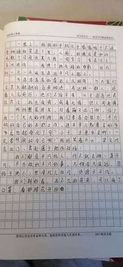 什么的我作文700字
