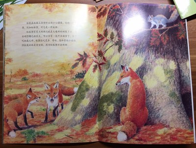 关于植物的绘本故事