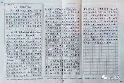 什么的我作文700字