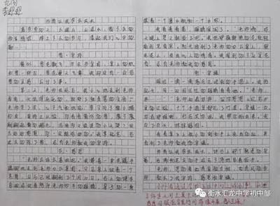 初中800字作文大全