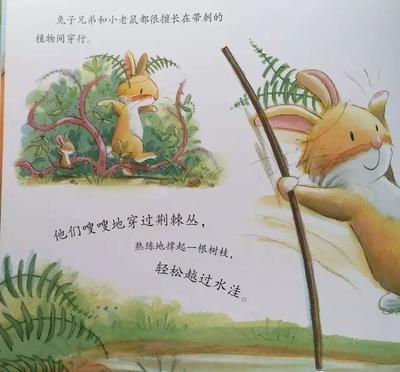关于植物的绘本故事
