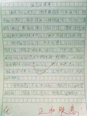 什么的我作文700字