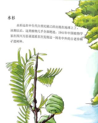关于植物的绘本故事