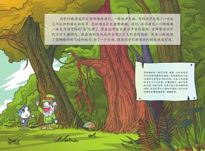 关于植物的绘本故事