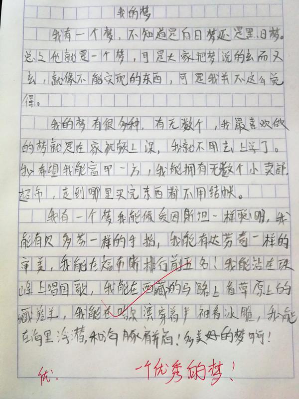 我的同学作文250字