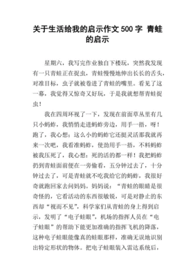 关于启示的作文