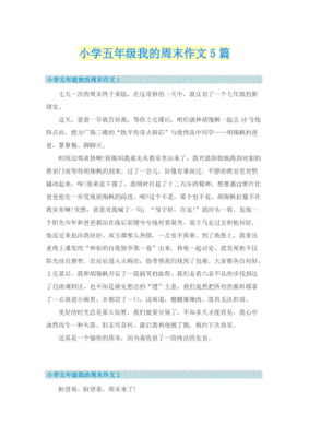 我的周末的作文