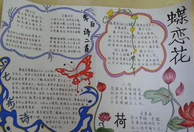 手抄报写什么内容