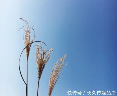 让人豁然开朗的句子