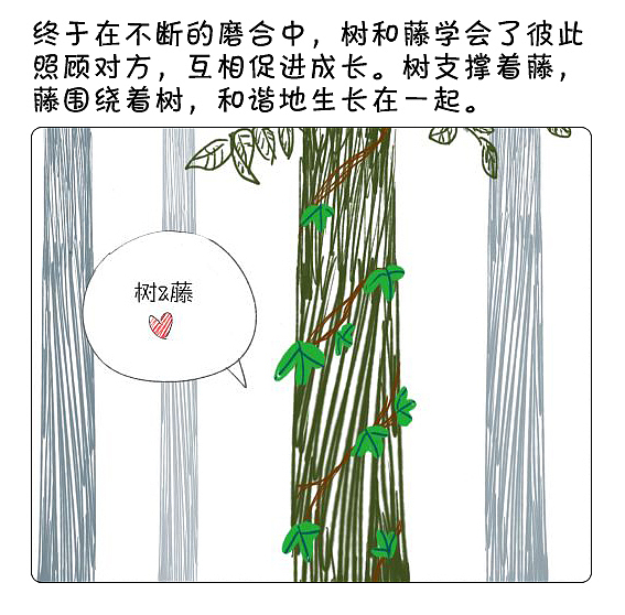 树和藤的故事