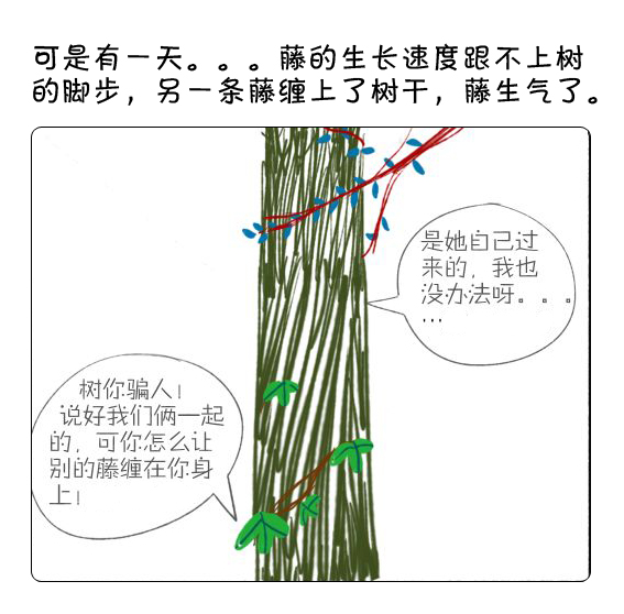 树和藤的故事
