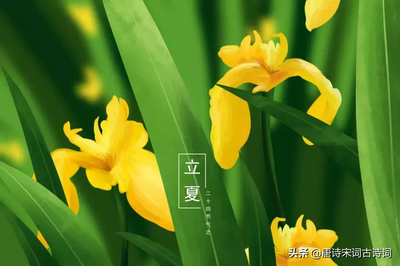 描写夏夜的古诗