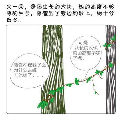 树和藤的故事