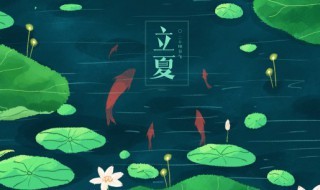 描写夏夜的古诗