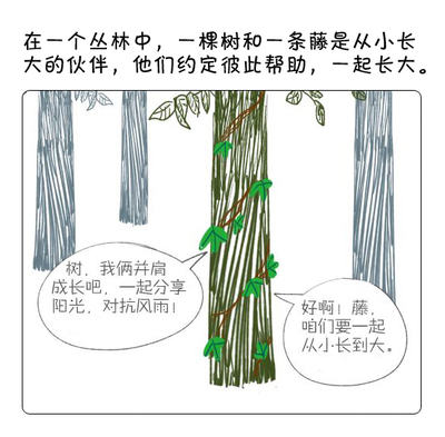 树和藤的故事