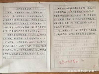 我的    作文