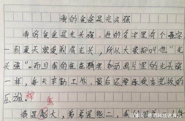 我的    作文