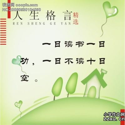 和谐社会需要宽容作文